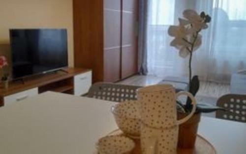 H&s Apartament Piaseczno