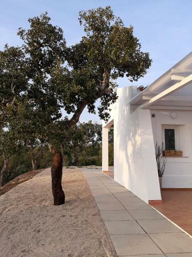 Villa Monte Vale Manhas