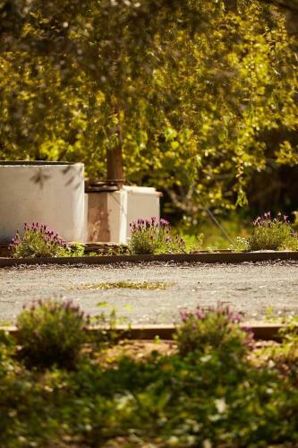 Villa Quinta Do Marmeleiro- Casa Marmeleiro