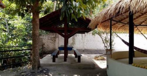 Casa Com Igarap�