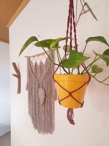 Bed & Breakfast S�tio Juara