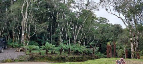 Lodge Morada Do Xaxim - Chal� Angico