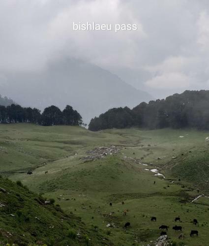 Lodge The Vinshar Bagha Sarahan