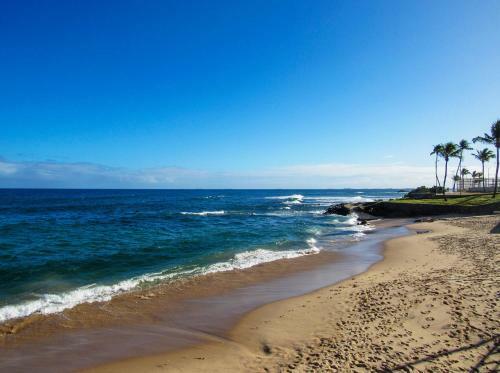Apartamento Apto Com Wi-fi A Beira-mar Da Praia De Ondina Ba