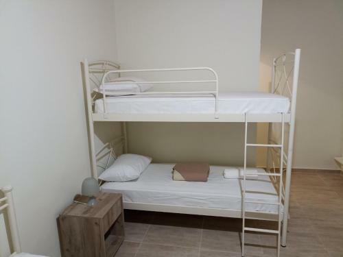 Apartamento Palm-tree