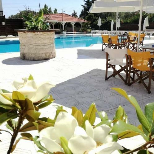 Apartamento Amalthea