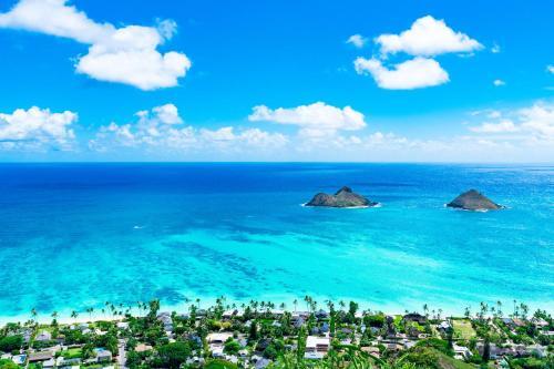 Kuhio Plaza Condo 702