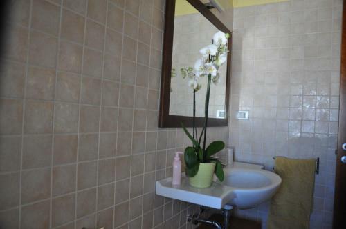 Apartamento Casa Marvi
