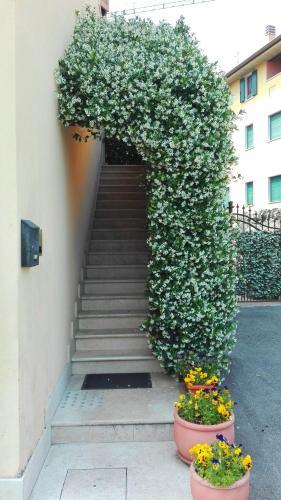 Bed & Breakfast Alloggio La Pesa