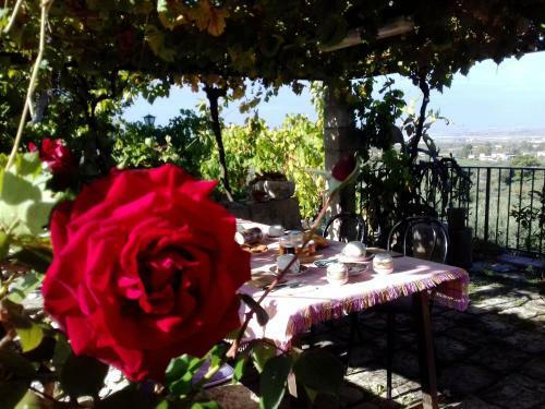 Hostal Ronnavona Guesthouse