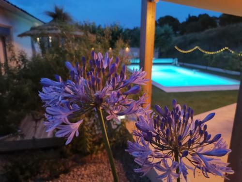 Bed & Breakfast Maison L'inattendu Avec Spa & Piscine Privatifs