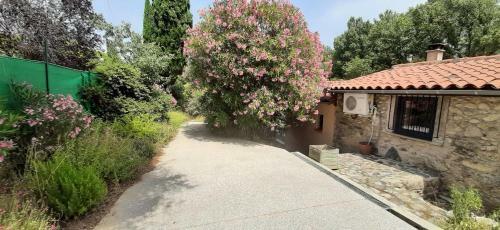 Apartamento G�te De Charme Dans Mas Catalan