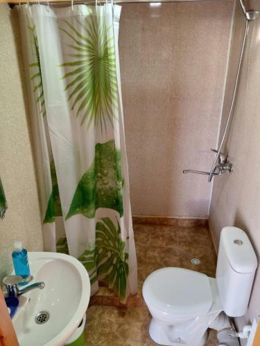 Hostal Samarkand Center