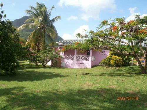 Villa The Pink House