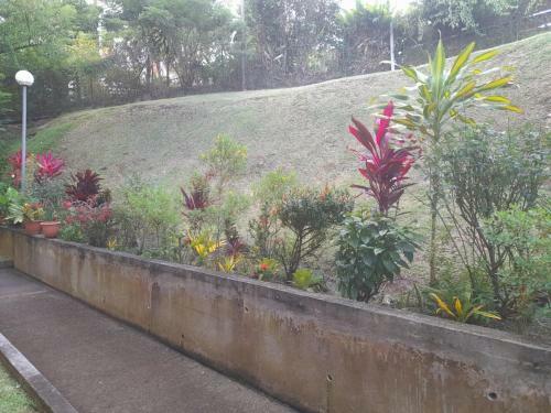 Escale Au Jardin Des Plantes