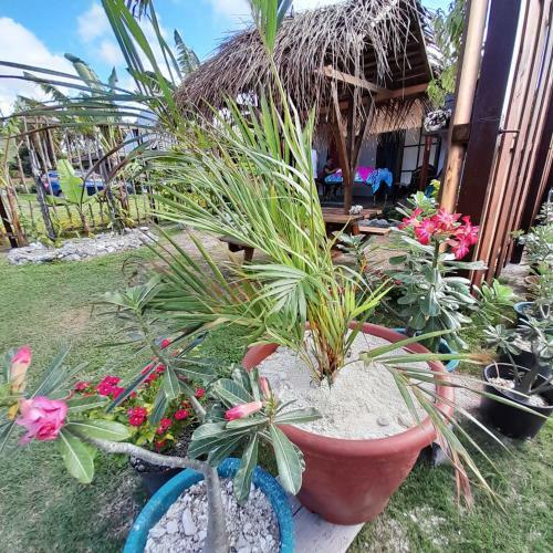 Apartamento Nuutea Lodge Rangiroa