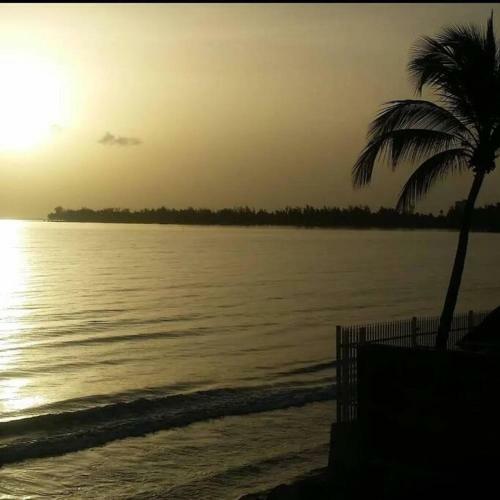 Apartamento Peaceful Ocean Front Home Near Rainforest & Rivers 102