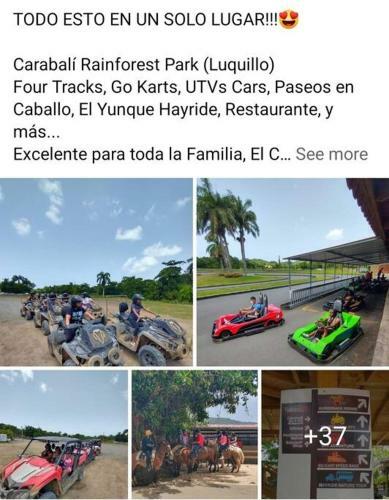 Apartamento Peaceful Ocean Front Home Near Rainforest & Rivers 102