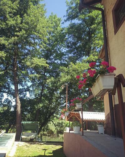 Posada Bosnian Pyramid House