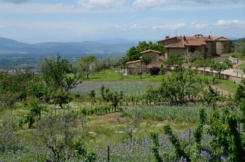 Villa Iris