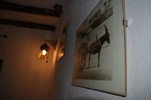 Apartment Bellomia