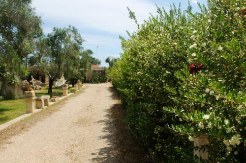 Bed & Breakfast La Petrusa