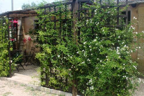 Bed & Breakfast La Petrusa