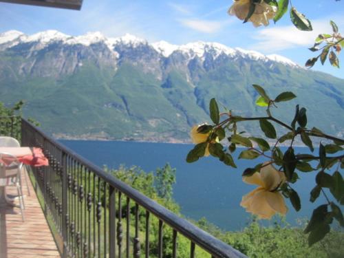 Hotel Villa Selene