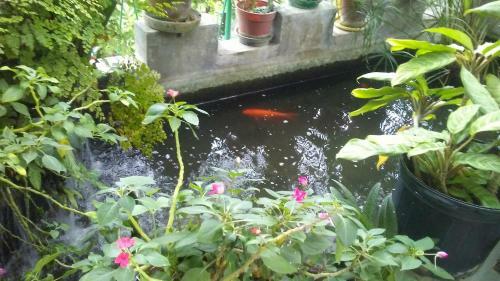 Apartamento Belgrade Garden Paradise
