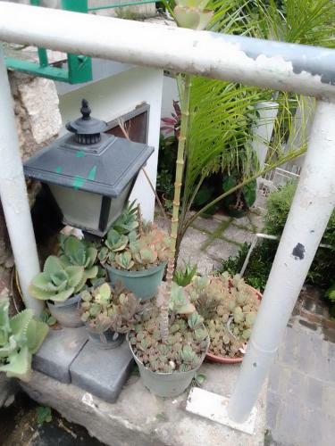 Apartamento Belgrade Garden Paradise