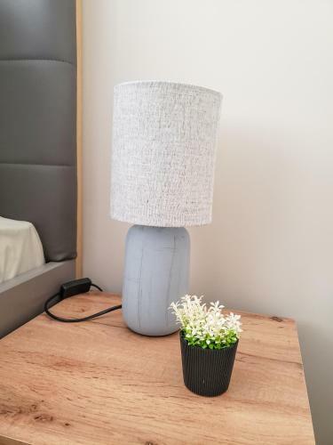 Apartamento Klepalski - Mountain Studio