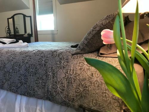Snowgoose Pond Bed & Breakfast