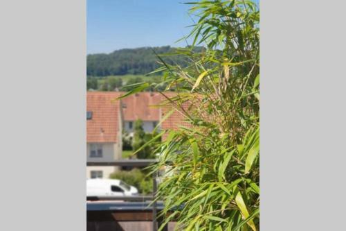 Apartamento Sunny Maisonette Penthouse With Big Balcony And Great View