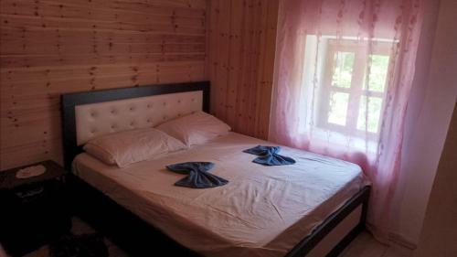 Hostal Bujtina Carku