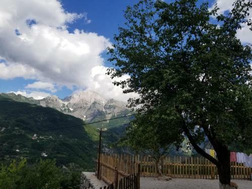 Hostal Bujtina Carku