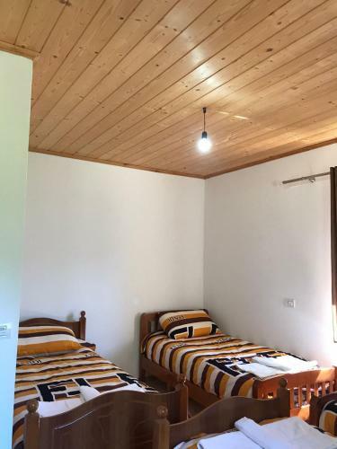 Hostal Belinis Theth