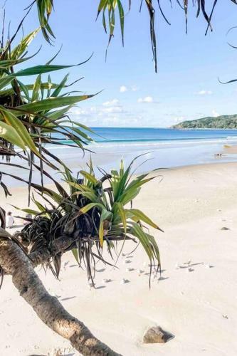 Pandanus Villa Byron Bay