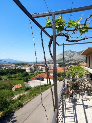 Apartman Paranos