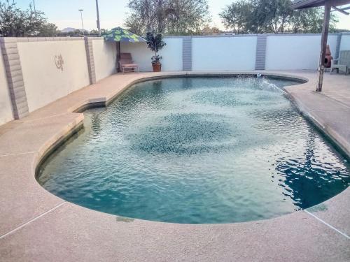 Dog Friendly ~ People Friendly Gilbert Gem