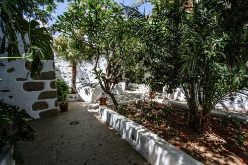 Casa Patio Canario Sxvii