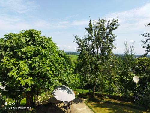 Tsikhisdziri Guest House