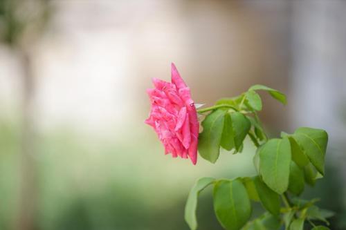 Villa Bay's Balcony Verga