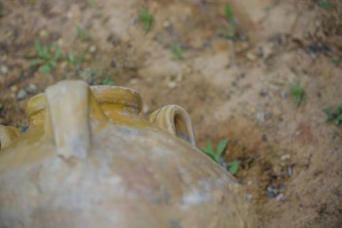 Villa Bay's Balcony Verga