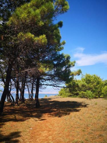 Apartmani Novak - Vir