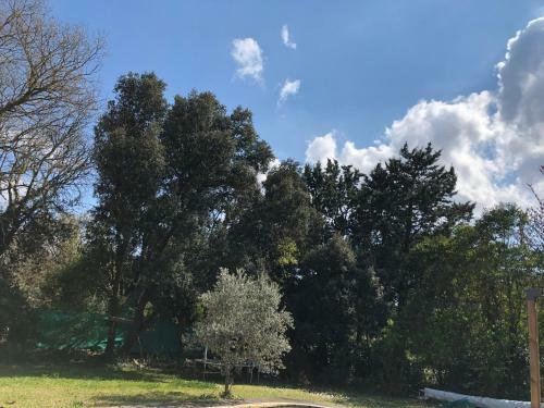 Villa La Campane