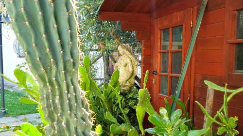 Hostal Villa Margot