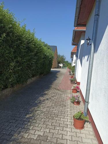 M�kus Apartman