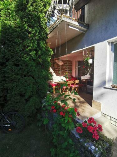 Kam�leon Apartmanh�z