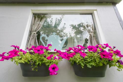 Bed & Breakfast Gardenhouse On Wheels