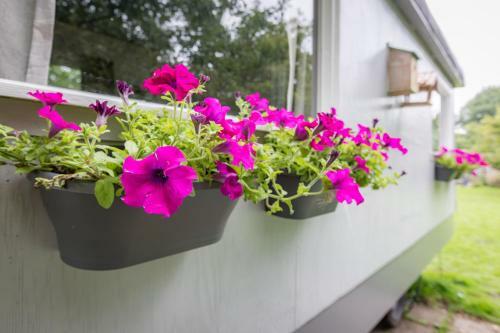 Bed & Breakfast Gardenhouse On Wheels
